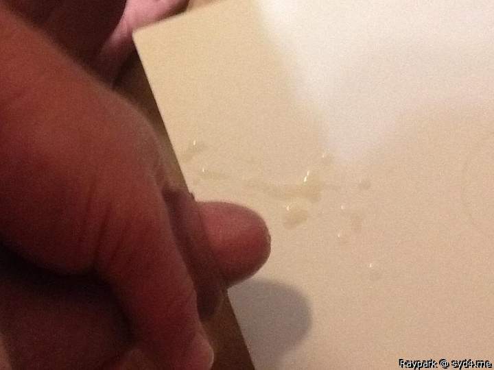 Adult image from Raypark