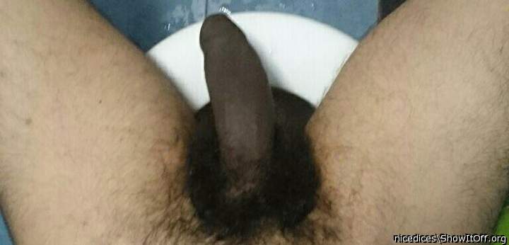Adult image from nicedices