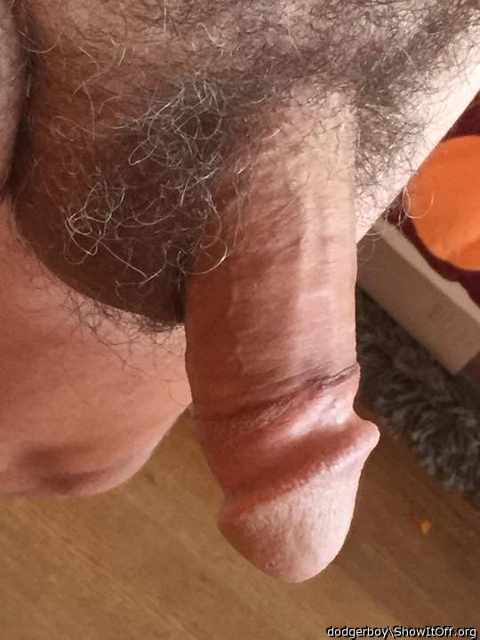 Adult image from dodgerboy