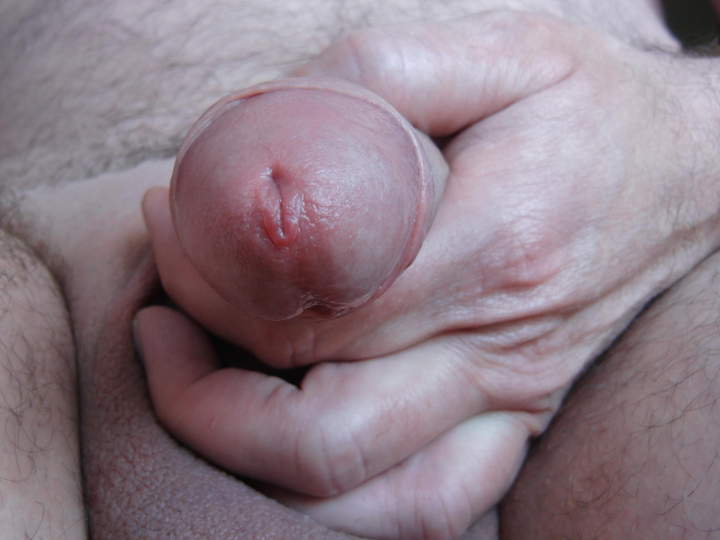 Adult image from smallfined