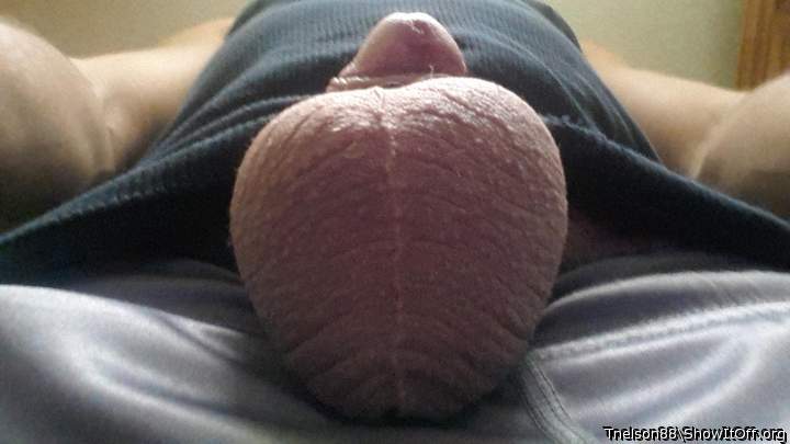Adult image from Tnelson88
