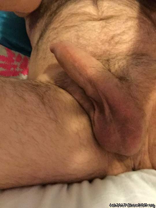Adult image from Ash2017