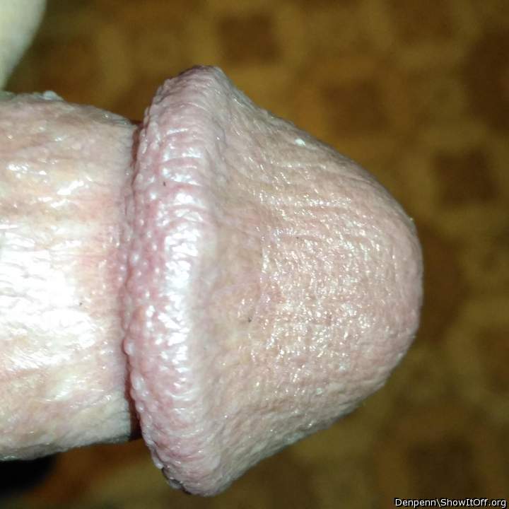 Adult image from Denpenn