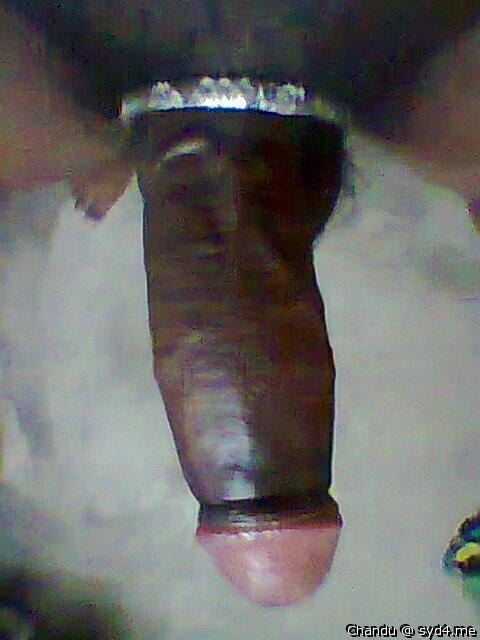Adult image from Chandu