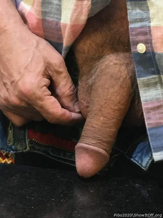 Adult image from Pibo2020