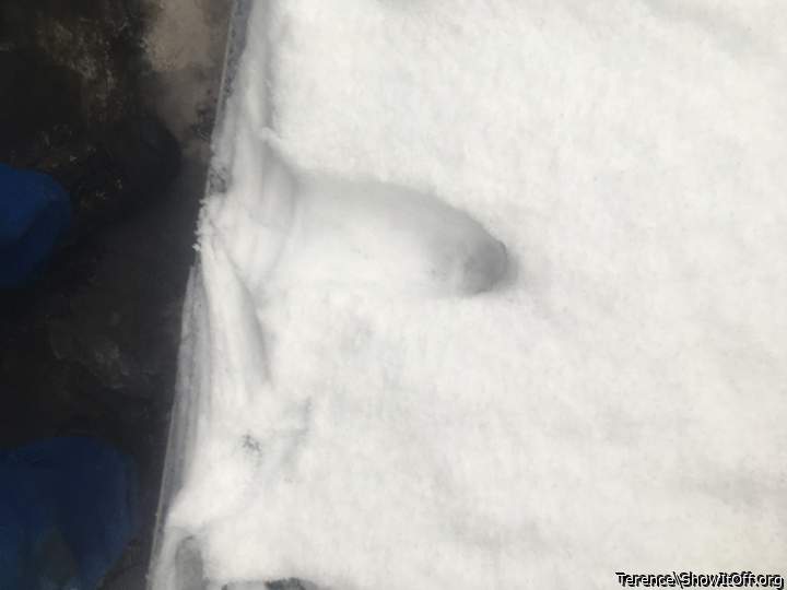 Adult image from Terence