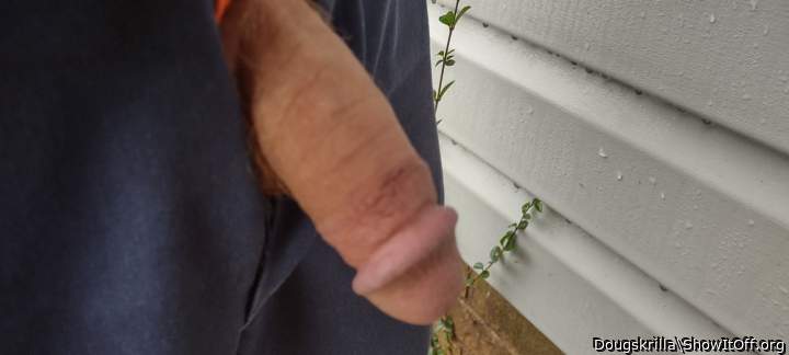 Adult image from Dougskrilla