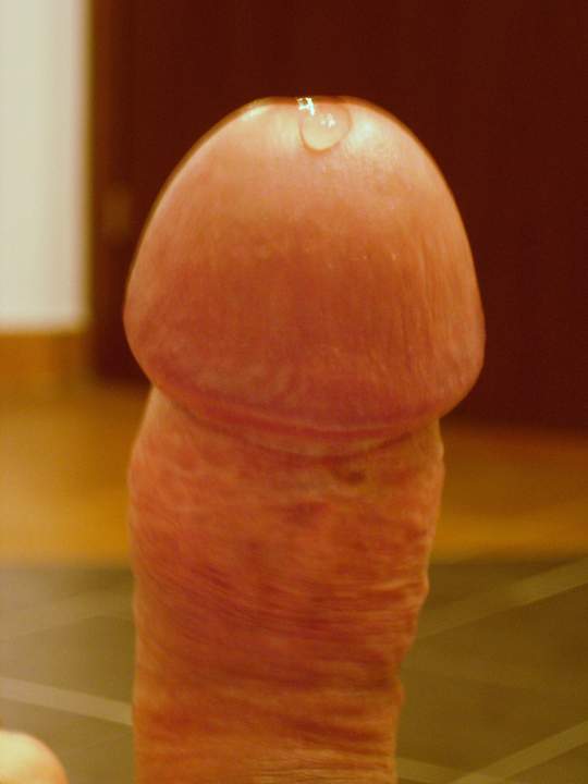 Adult image from roccotano