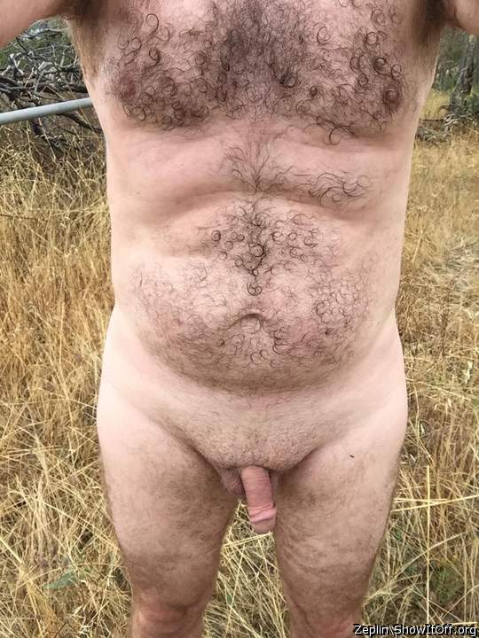 Adult image from Zeplin