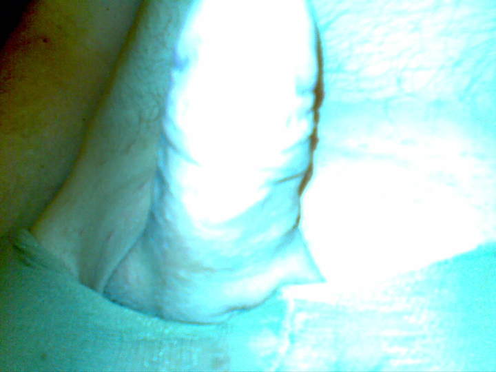 Adult image from 450