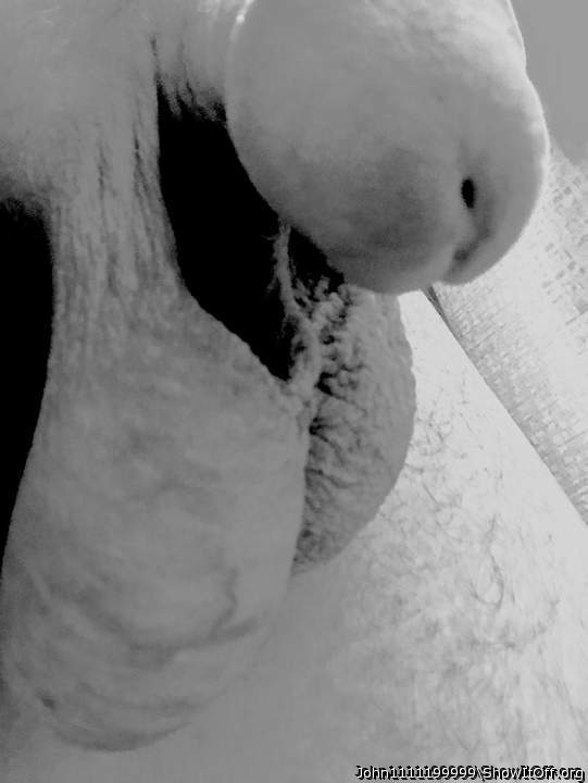 Adult image from John1111199999
