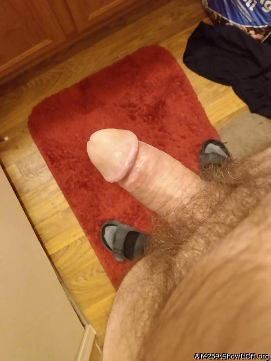 Adult image from Alf4269
