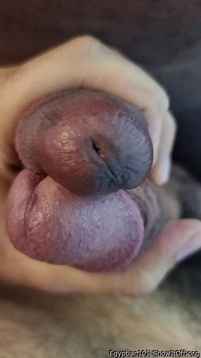 juicy cocks lic lick