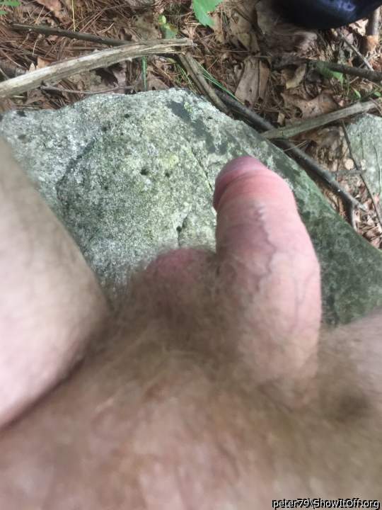 Adult image from peter79