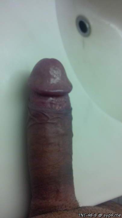 Adult image from TNT-48-8