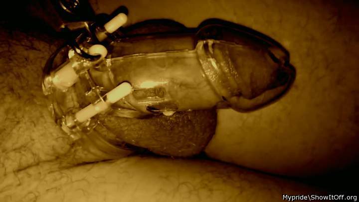 Adult image from Mypride