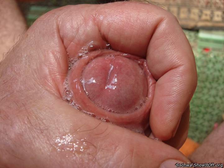 Adult image from dischwa