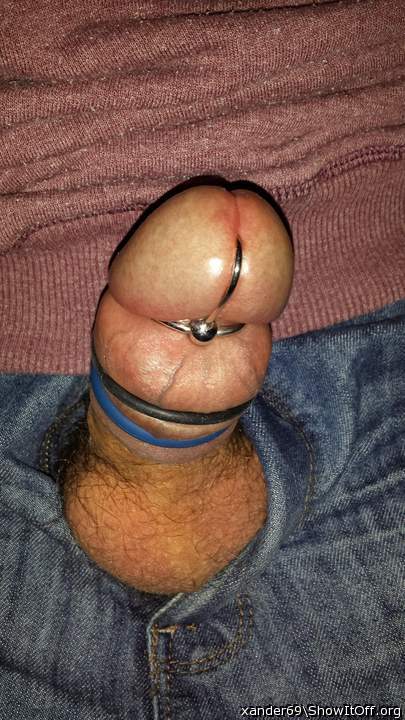 Adult image from xander69