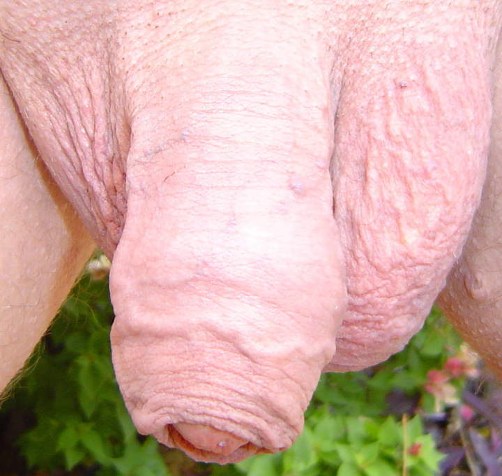 Adult image from cuddles1