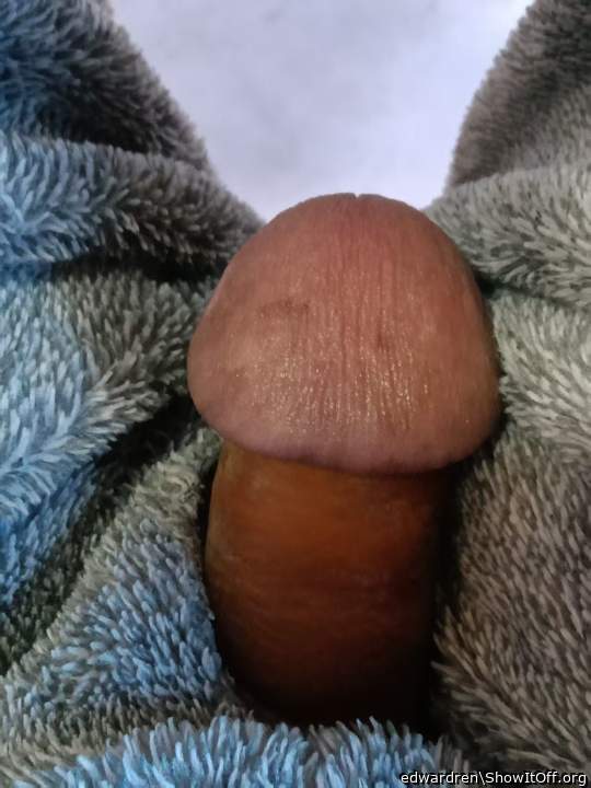 Adult image from edwardren
