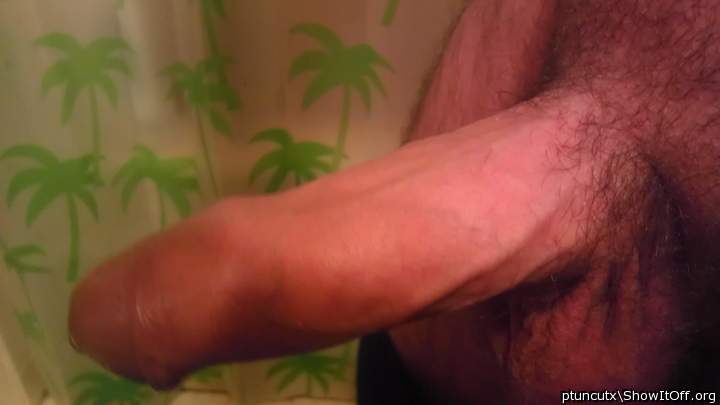 Adult image from ptuncutx