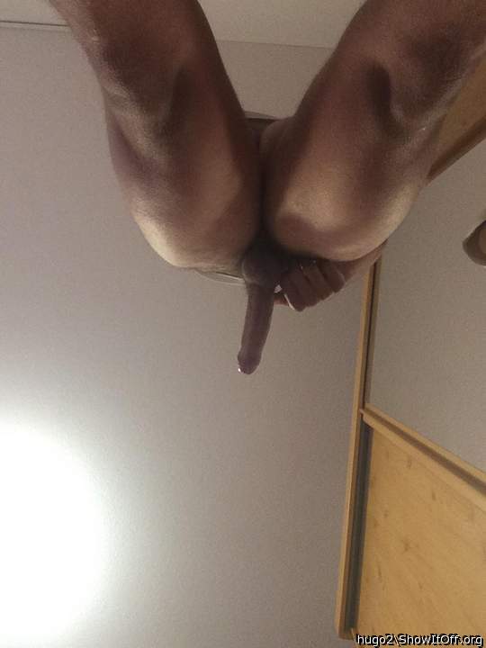 Adult image from hugo2