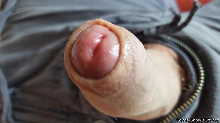 Adult image from covas