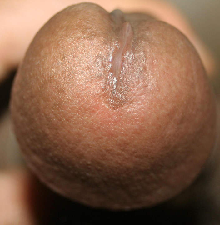 Adult image from Anass