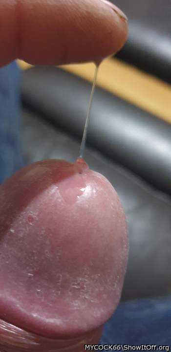 Adult image from MYCOCK66