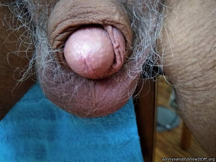 Adult image from sonnysands