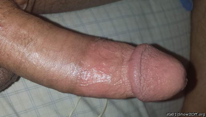 Adult image from stab1