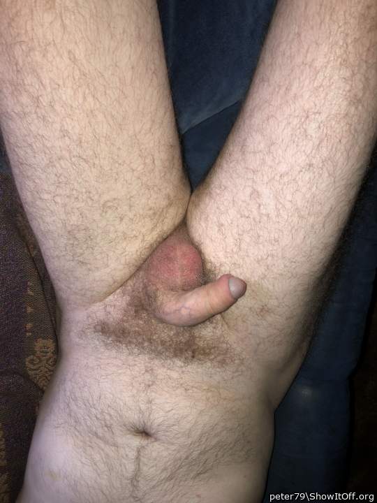 Adult image from peter79