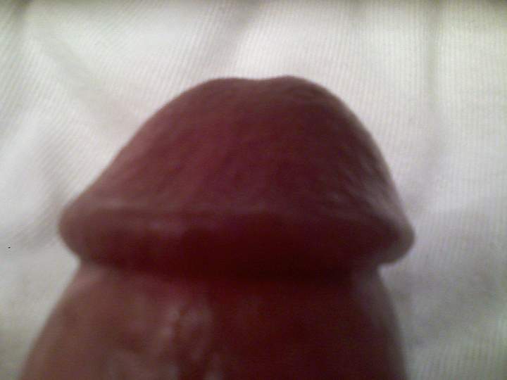 Adult image from 8inchthickdick