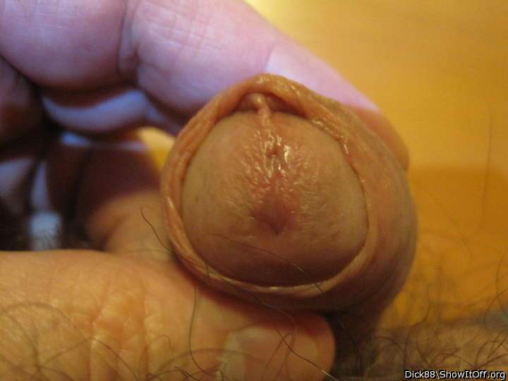 Adult image from Dick88