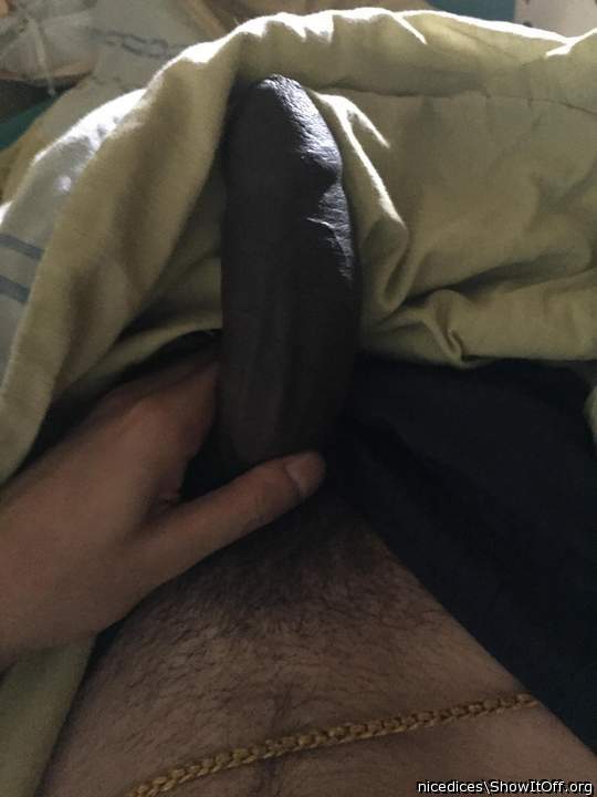 Adult image from nicedices