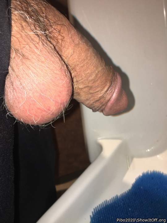 Adult image from Pibo2020