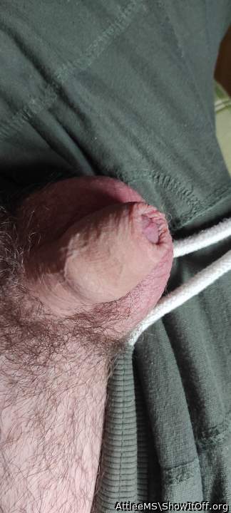 Adult image from AttleeMS