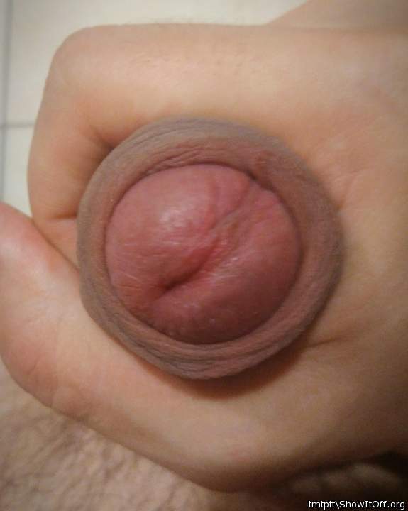 Adult image from tmtptt