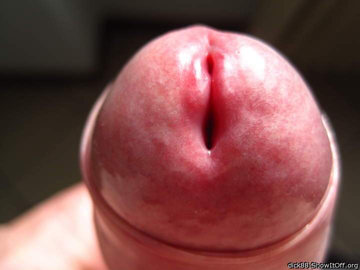 Adult image from Dick88