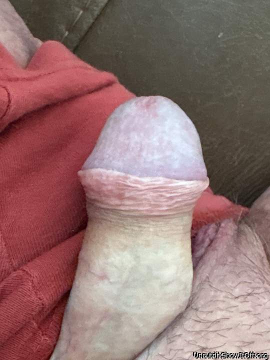 Adult image from Uncutdi