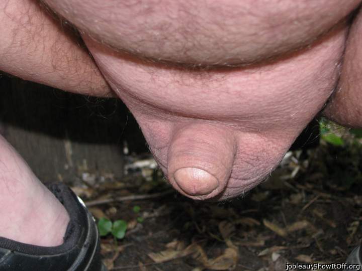 Adult image from jobleau