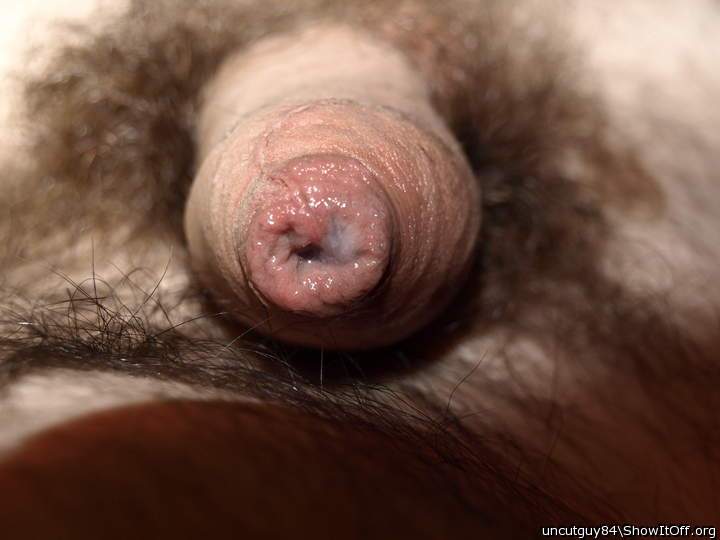 Adult image from uncutguy84