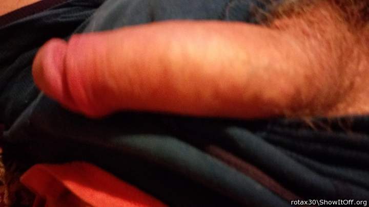 Adult image from rotax30