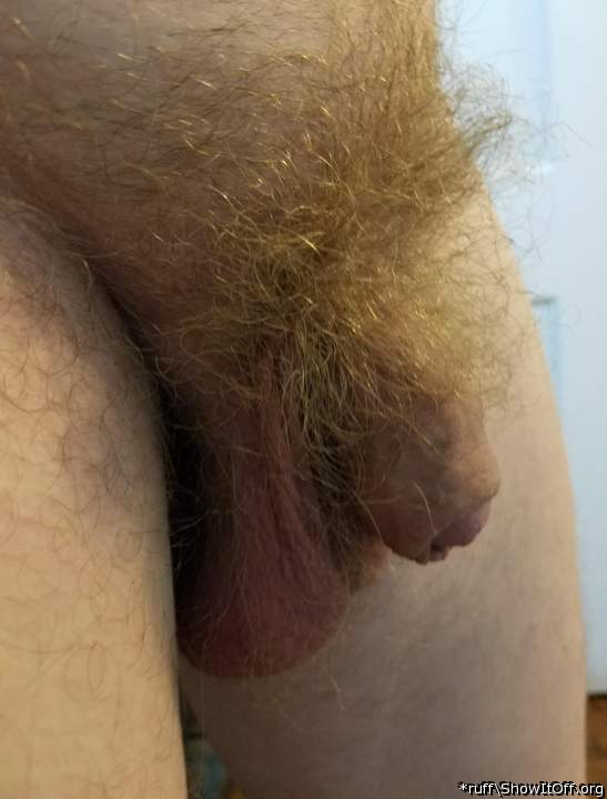 Adult image from *ruff
