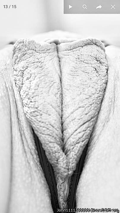 nice butterfly  