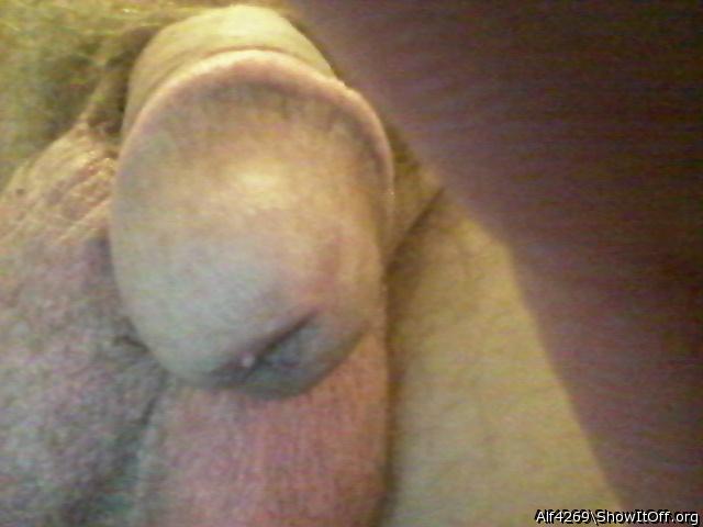 Adult image from Alf4269