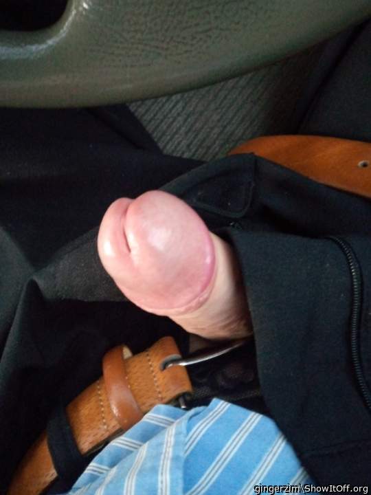 Adult image from gingerzim