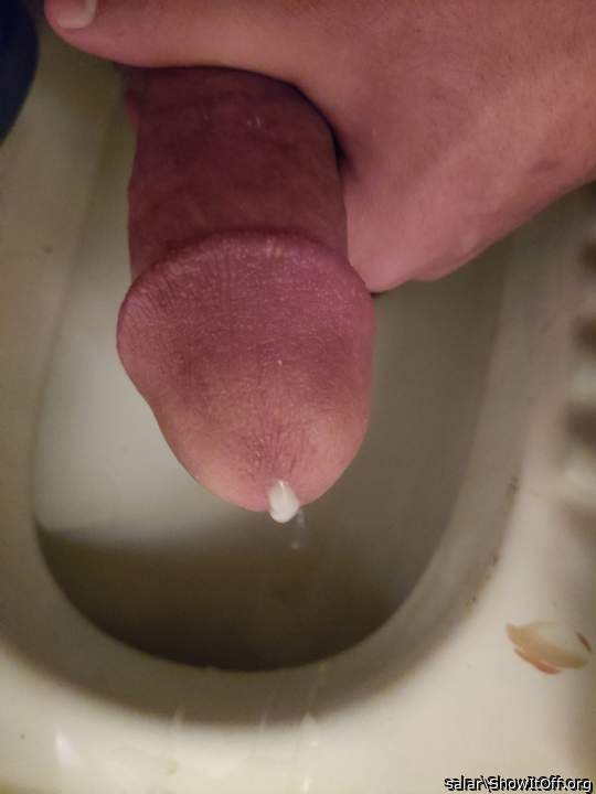 Adult image from salar