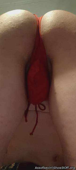 Adult image from Assofkevin
