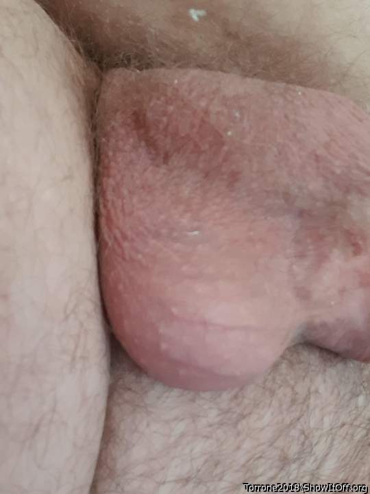 Adult image from torrone2018